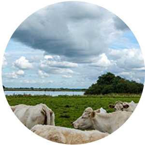 申博sunbet·(中国)官方网站