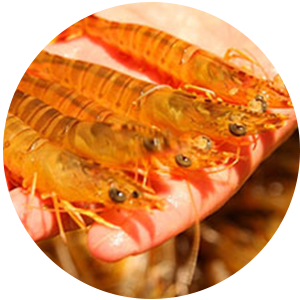 申博sunbet·(中国)官方网站