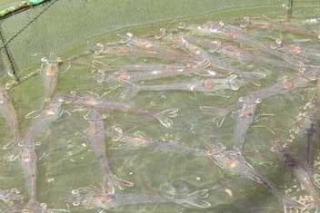 申博sunbet·(中国)官方网站