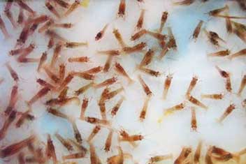 申博sunbet·(中国)官方网站