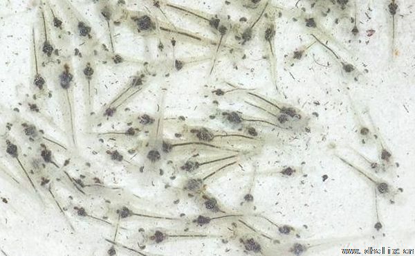 申博sunbet·(中国)官方网站