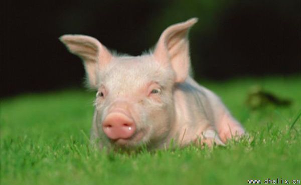 申博sunbet·(中国)官方网站