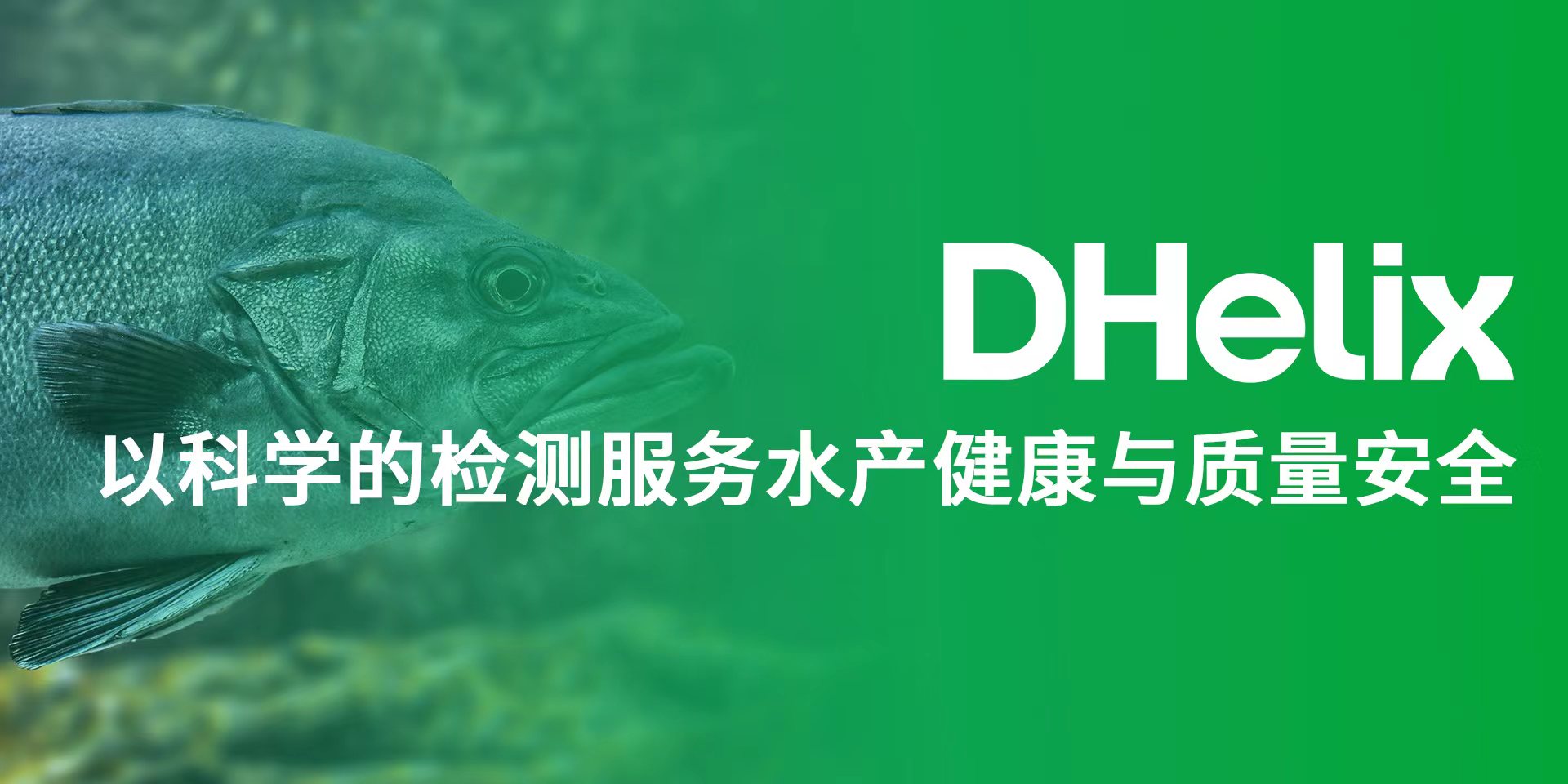 申博sunbet·(中国)官方网站